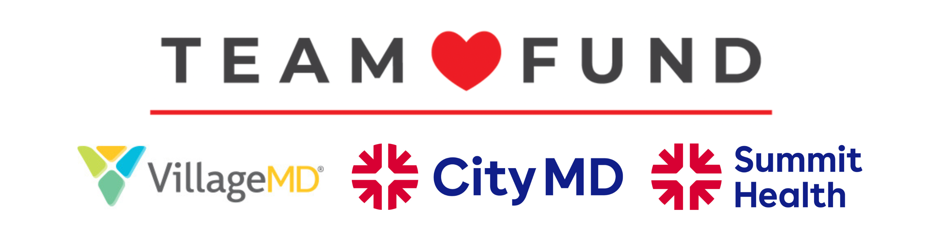 Team Fund logo